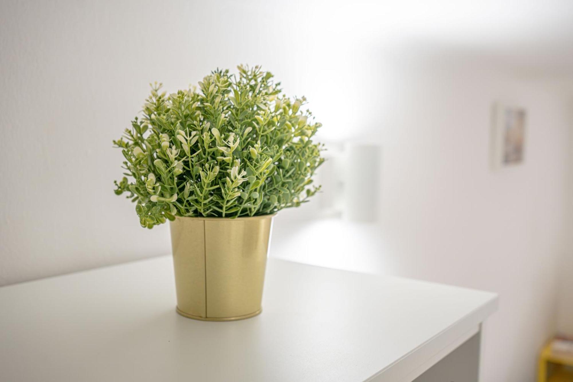 Appartement Metro Yellow